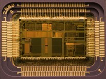 Image1